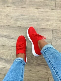 Legend PALMO05 - RED